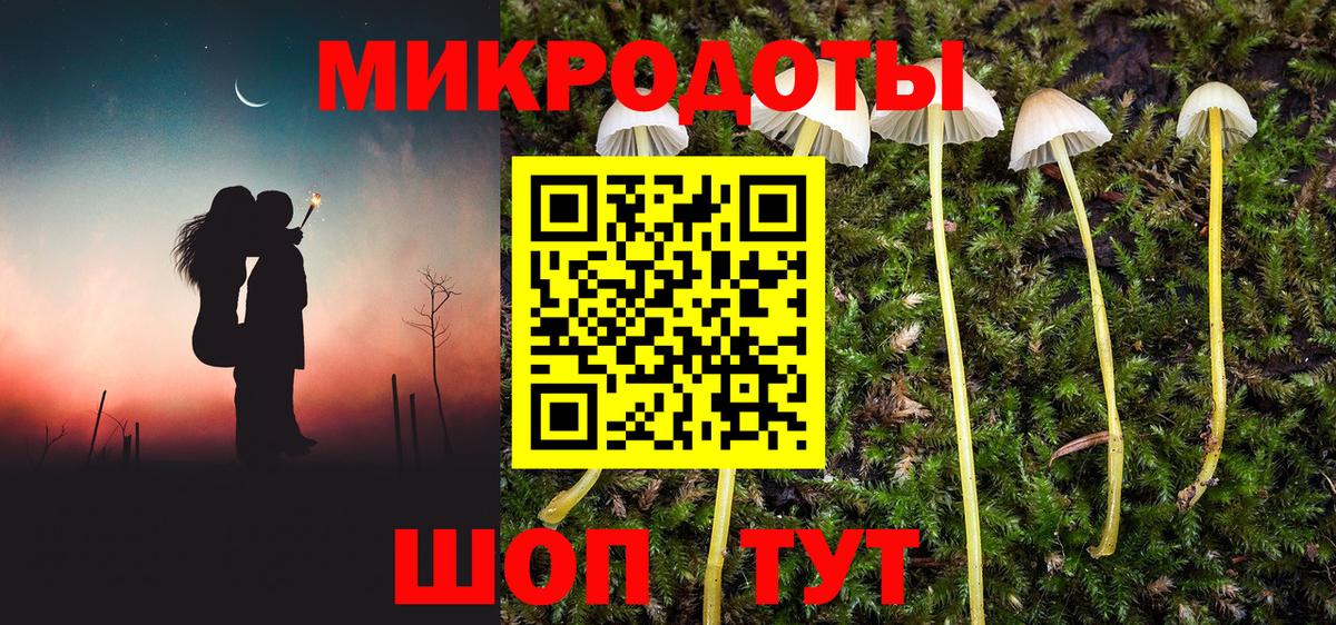 Псилоцибиновые грибы MAGIC MUSHROOMS  Вход с VPN  Липецк  Псилоцибиновые грибы мицелий 